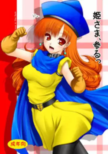 [Ai Wa Kurayami (Marui Ryuu)] Hime-sama, Mairu (Dragon Quest IV) [Digital]