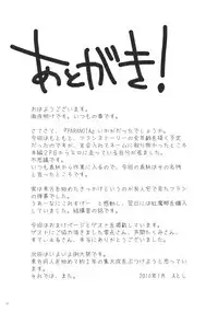 (Aka no Hiroba 3) [KOTI (A Toshi)] PARANOIA (Touhou Project) [Chinese] [Flandre个人汉化]