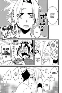 [SCO.LABO (shoco)] Lie and Heart [English]