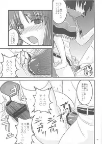 [KAMUI no Hikari & SMG] SPI 02 (RO)