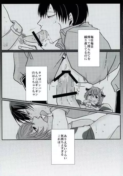 新荒牧場産地直送生搾り