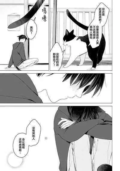 恋爱中的猫咪想被抚摸