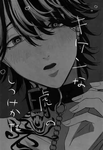 Kiken na Tora no Shitsukekata