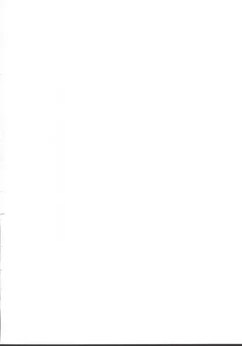 Gochisou Usagi Mocha Milk