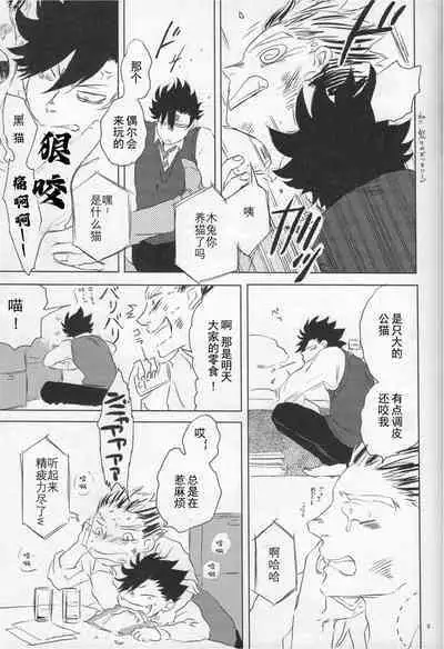 「Hyaena、Sunday」Maybe You Are The Cat In The Paper Bag | 你大概是纸袋里的猫