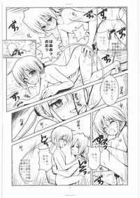 [R-WORKS] SLOE BERRY II (Hayate no Gotoku!)