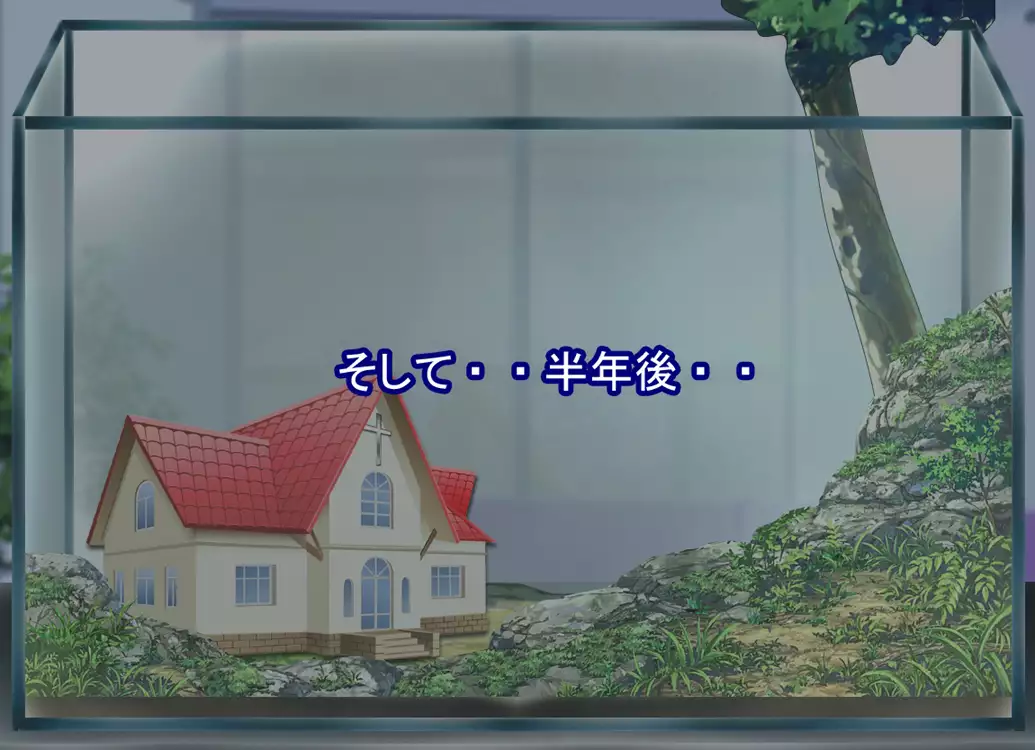 FAIRY PLANET☆Instructions on making love to Fairy