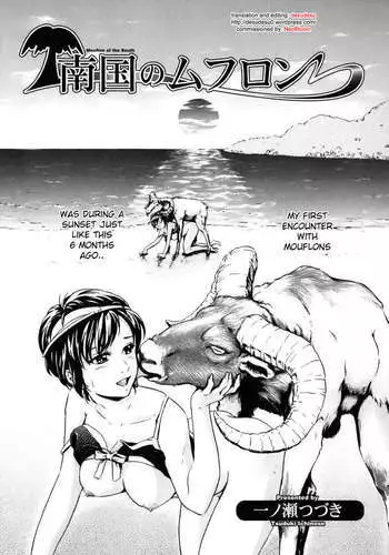 Mouflon of the South