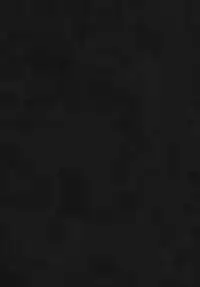 (C93) [Puppukupu (Kawaisaw)] ASSTRSRVNT (Fate/Grand Order) [Chinese] [靴下汉化组]