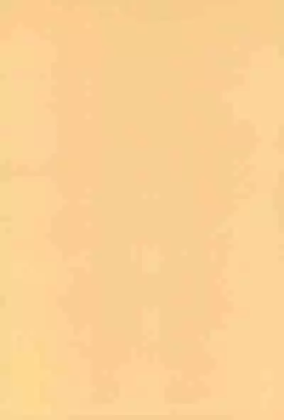 [O.RIginal brand (O.RI)] CELVARG3 (ENG) =CBS=