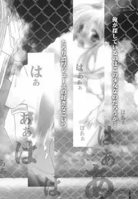 (C60) [Rocket Kyoudai] AIR.I.LY (AIR)