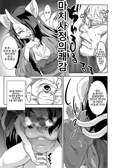 Neko ga Kitarite | 고양이가 찾아와서