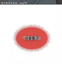 私生，爱到疯狂 完结