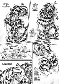 [Sumomo Dou] Bibi Anbetsu 32 [English] [Anonymous]