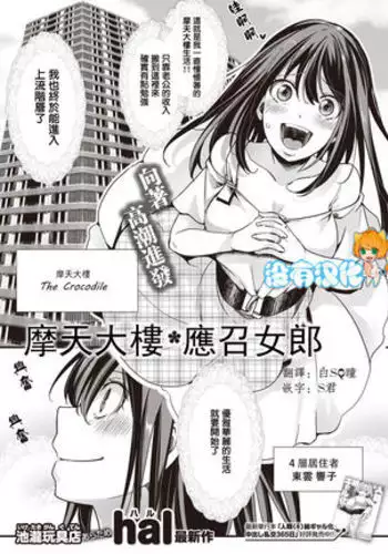 Tower Man Call Girl | 摩天大樓應召女郎