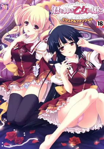 Kimi wo Aogi Otome wa Hime ni Visual Fan Book