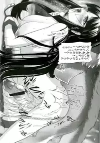 (C79) [SLW (Q1)] Chiehemenoko Sono no Ichi (Samurai Spirits)