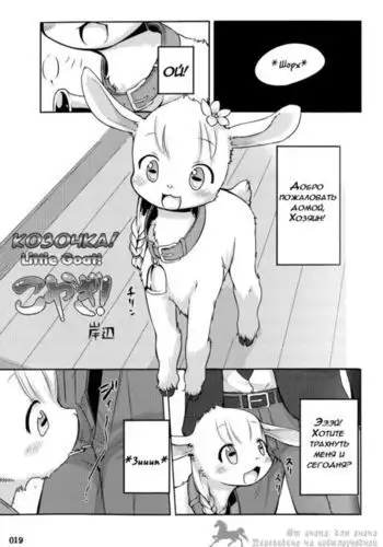 Koyagi! | Little Goat!