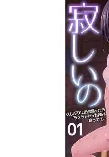 oniichan sabishii no hisashiburi ni inakakaettara chitchakatta imoto ga sodatte te ...