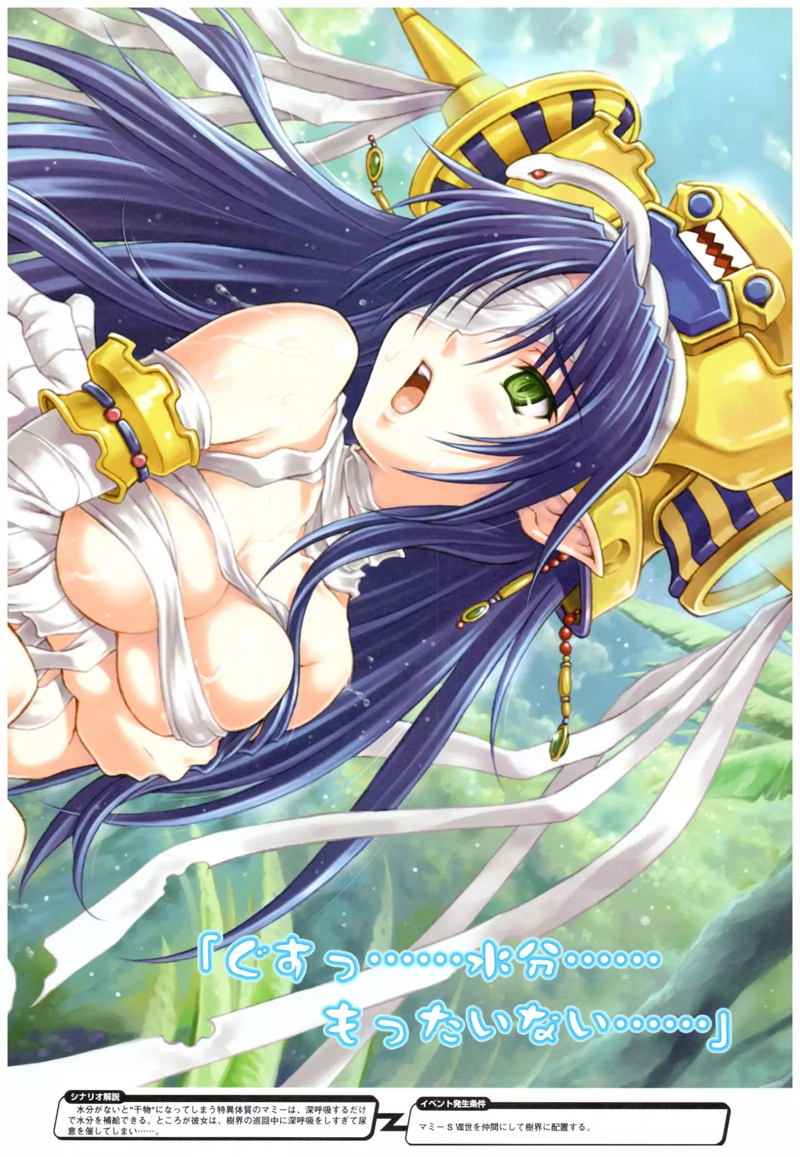 大番長 visual fan book