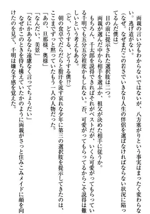 年上メイドの新婚日記