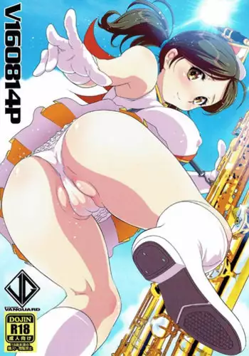 (C90) [Studio Vanguard (Twilight)] V160814P (Hibike! Euphonium)