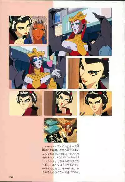 This is Animation Pocket- Chouja Reideen Character Book