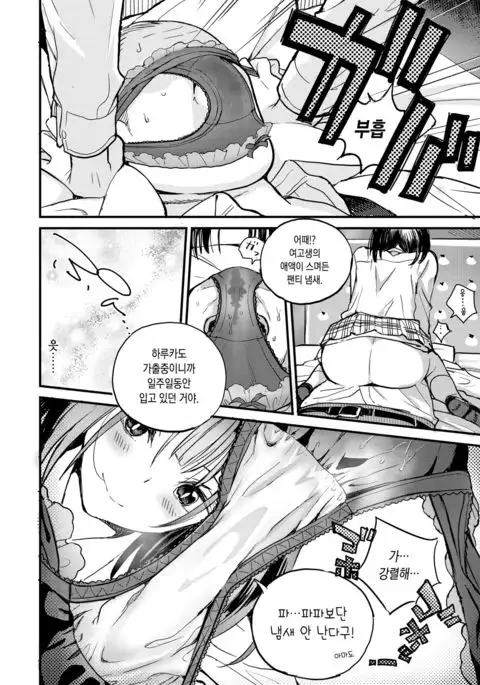 Amanita Pantherina | 아마니티 팬세리나