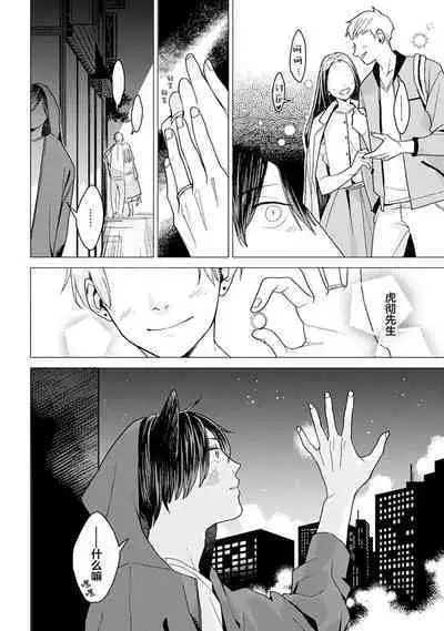 恋爱中的猫咪想被抚摸