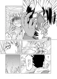 (C65) [Fujiya Honten (Thomas)] MIND (Ragnarok Online)