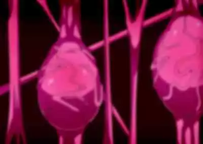 [Higashi Chinta] Series Android No. 18 and No. 21 Part 11 (japanese/english/notext)