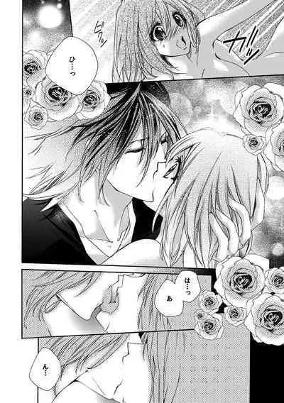 鬼畜兄弟の悶絶調教～私はいいなり奴隷～