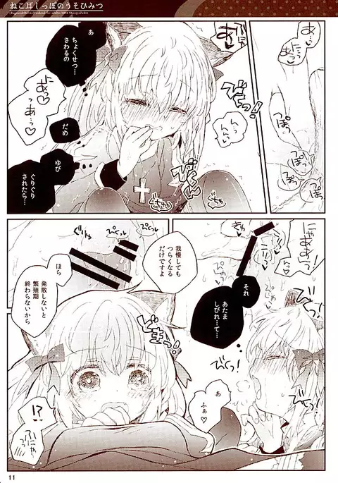 Nekomimi Shippo no Uso Himitsu