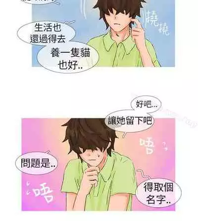 小野貓馴服手冊