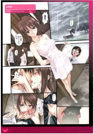 八宝備仁画集 紅蝶（ほてり）