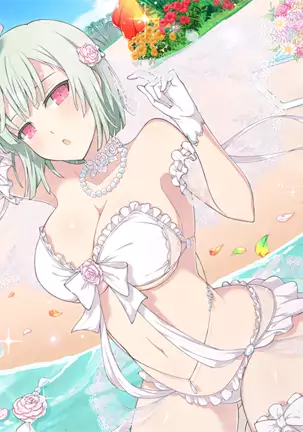 Master Ninja Senran Kagura NEW LINK