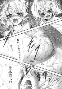 (C79) [Chaotic Wolf (Inuboe)] FILTH IN THE ENVY (Touhou Project)