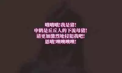 申鹤の野外任務-