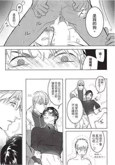 Chihireru Kubiwa | 碎裂的项圈