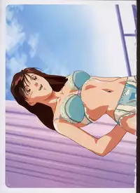 Super Real Mahjong Visual Fan Book Perfect Collection