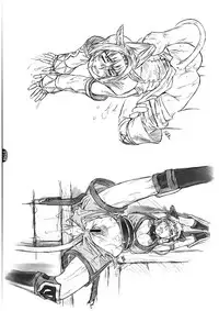 [NP Virus Jouryuujo] Mithman Report 2008 (Final Fantasy XI)(C74)