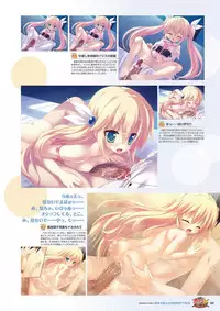 Zettai Series Visual Collection