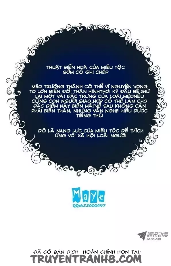 Tình Yêu Tuyệt Vời