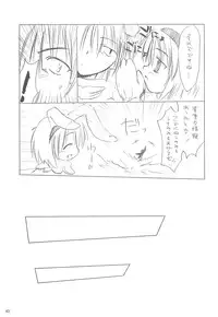 [観月堂] 電撃ラグナ (RO)