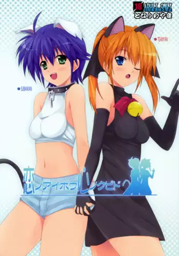 [Tonari no Yama (Yokoyama Kouji)] Partners In Love, Cupid of the Heart (Mahou Shoujo Lyrical Nanoha) [English] [ProjectHumpMe!Scanlations]
