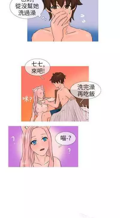 小野貓馴服手冊