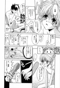 [Mizuki Eimu] Toy Box