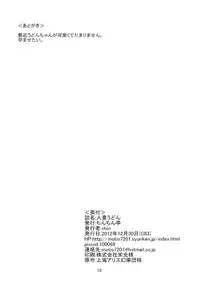 (C83) [Chinchintei (Chin)] Hitozuma Udon | Udon Wife (Touhou Project) [English] [robypoo]