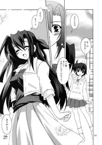 (C74) [PLUM (Kanna)] Mahou Shoujo Magical SEED OTHER (Mahou Shoujo Lyrical Nanoha)