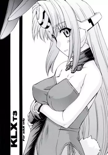 (C77) [MANITOU (Nakajima Rei)] KLX T3 (Xenosaga)